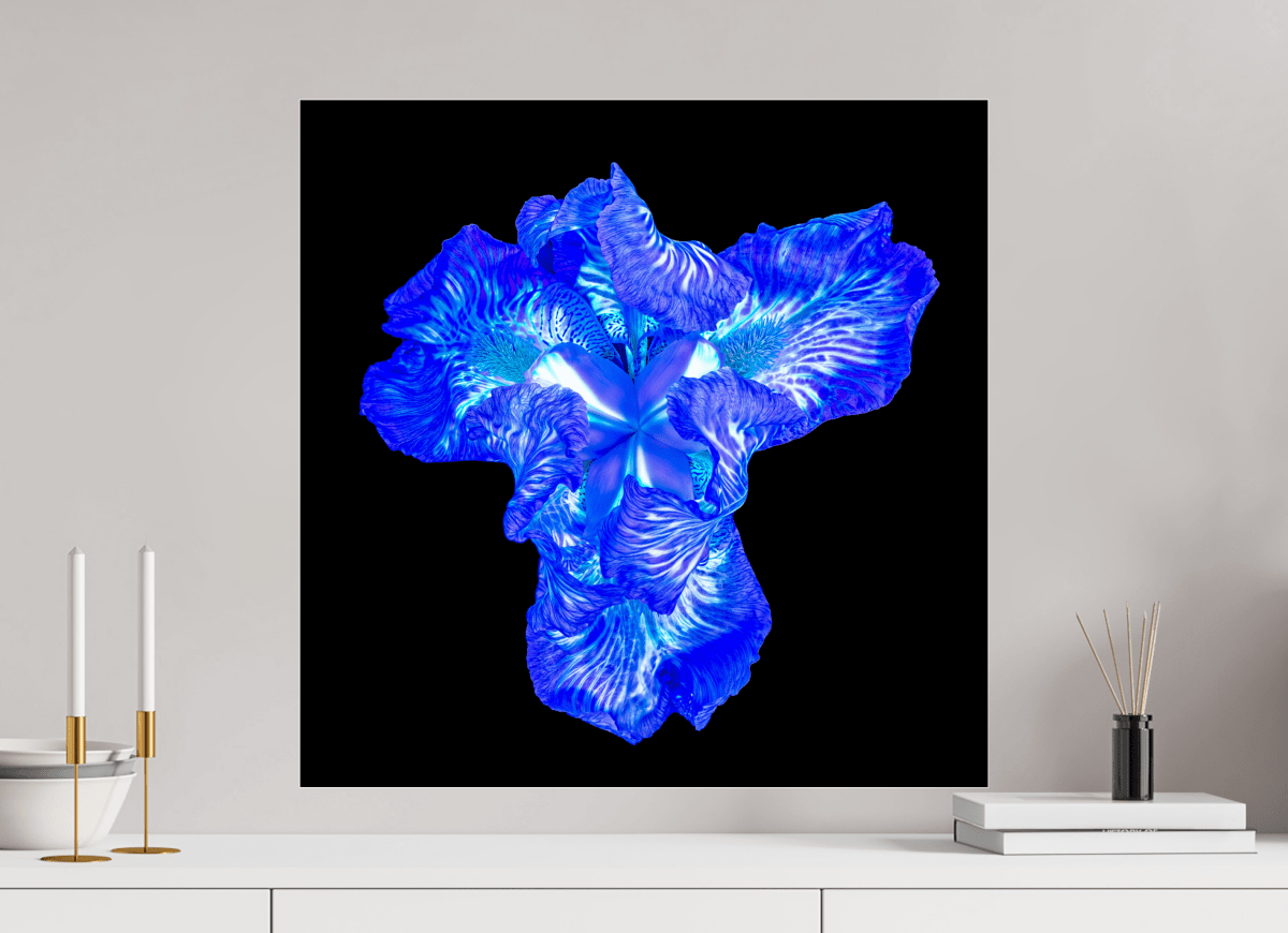 Iris of the Luminous Heart - Idealart