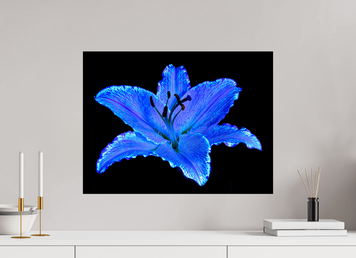 The Astral Lily - Idealart