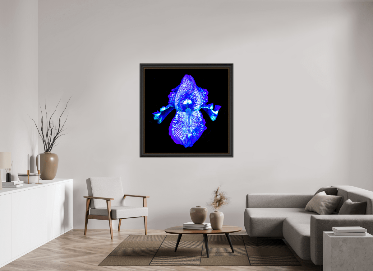 Iris of the Luminous Depths - Idealart