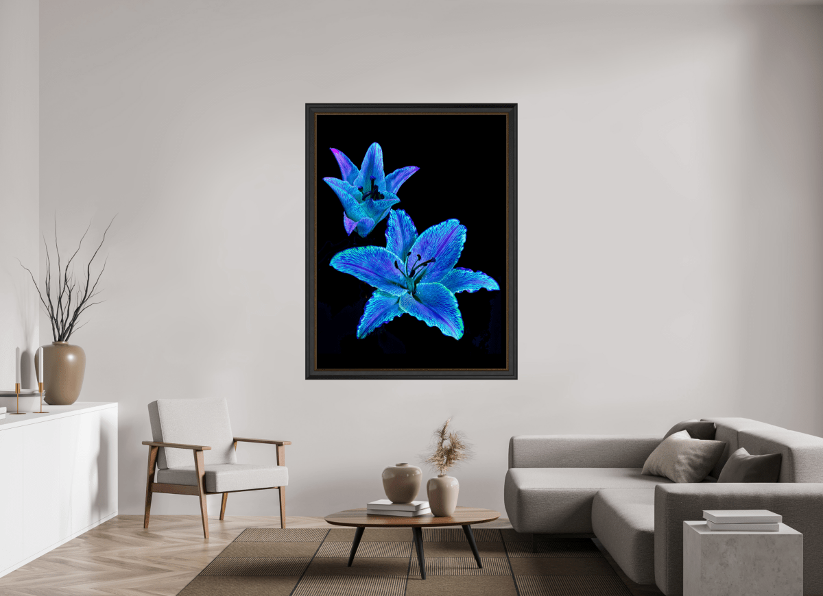 Dialogue of the Star Hearts - Idealart