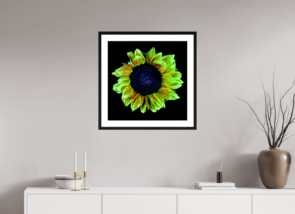 Crown of Light - Idealart