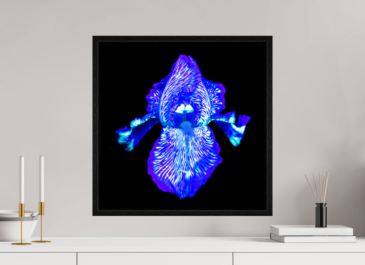 Iris of the Luminous Depths - Idealart