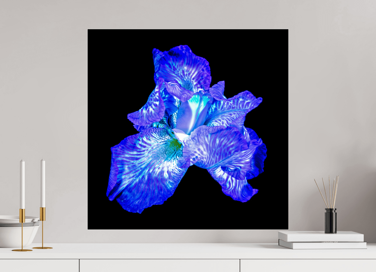 The Opal of Shadows - Idealart