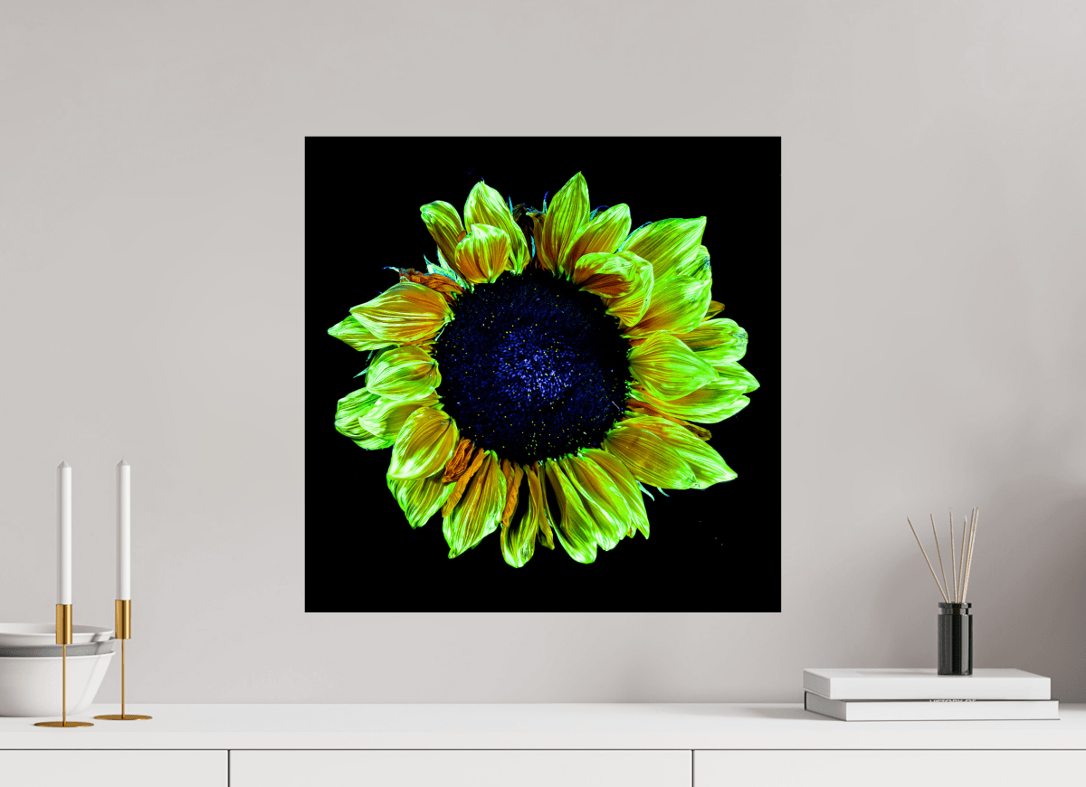 Crown of Light - Idealart